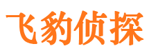 沙河市侦探调查公司